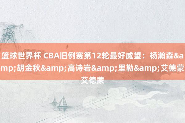 篮球世界杯 CBA旧例赛第12轮最好威望：杨瀚森&胡金秋&高诗岩&里勒&艾德蒙